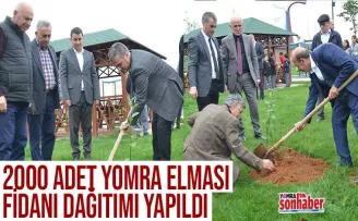 2000 adet Yomra Elması fidanı dağıtıldı