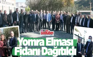 550 adet Yomra Elması Fidanı dağıtıldı