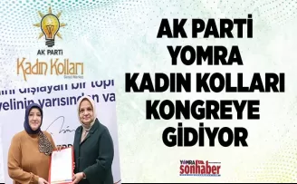 AK Parti’de Kadın Kolları  Kongresi yapılacak