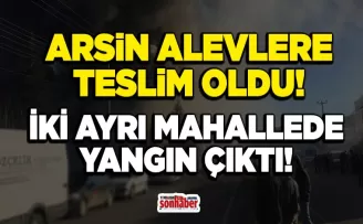 Arsin Alevlere Teslim: Çöplük ve Fındıklık Yandı