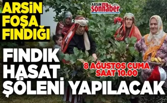 Arsin Foşa Fındığı Hasat töreni yapılacak