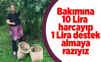 Bakımına 10 lira harcayıp 1 lira destek almaya razıyız! 