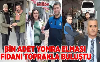 BİN ADET YOMRA ELMASI FİDANI TOPRAKLA BULUŞTU