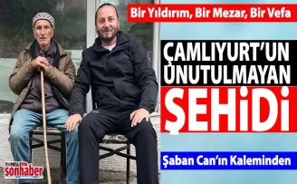 Bir Yıldırım, Bir Mezar, Bir Vefa: Çamlıyurt’un Unutulmayan Şehidi