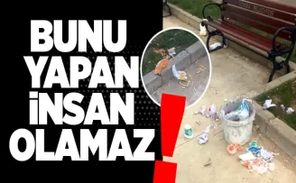 Bunu yapan insan olamaz!