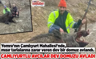 ÇAMLIYURTLU AVCILAR DEV DOMUZU AVLADI