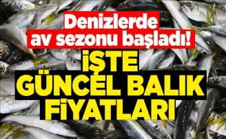 Denizlerde av sezonu başladı!  İşte Arsin’de  balık fiyatları