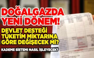Doğalgazda Yeni Dönem!; Devlet desteği tüketim miktarına göre değişecek mi?