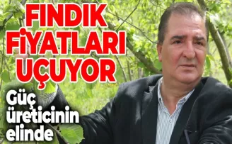Fındık Fiyatları Uçuyor! Güç Üreticinin Elinde...