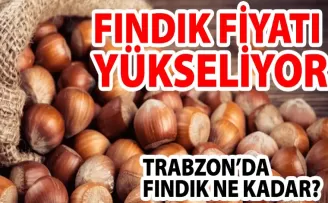 Fındık fiyatları yükseliyor... Yomra’da güncel fındık fiyatı