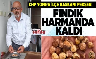 FINDIK HARMANDA KALDI
