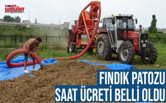 FINDIK PATOZU SAAT ÜCRETİ BELLİ OLDU