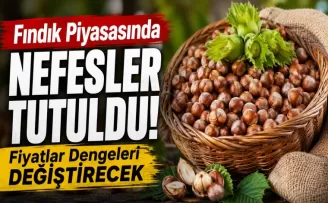 Fındık Piyasasında Nefesler Tutuldu, Fiyatlar Dengeleri Değiştirecek