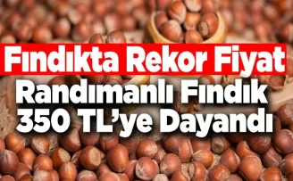 Fındıkta Rekor Fiyat