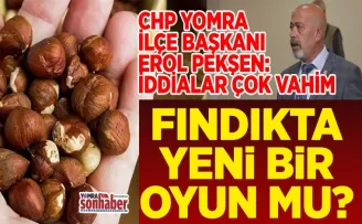 Fındıkta yeni bir oyun mu?