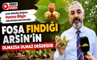 Foşa Fındığı Arsin’in Olmazsa Olmaz Değeridir