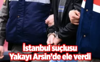 İstanbul suçlusu Yakayı Arsin’de ele verdi