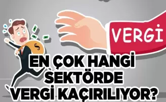 İşte Vergi Kaçakçılığında Şampiyon Sektör!