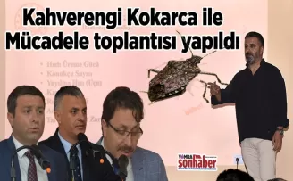 Kahverengi Kokarca ile  Mücadele toplantısı yapıldı
