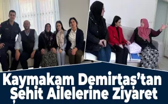 Kaymakam Demirtaş’tan Şehit Ailelerine Ziyaret
