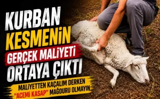 Kurban Kesmenin Gerçek Maliyeti Ortaya Çıktı