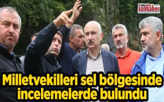 Milletvekilleri sel bölgesinde incelemelerde bulundu