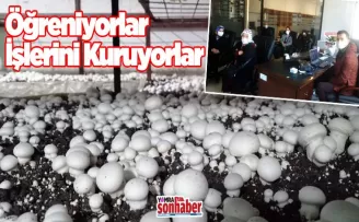 Öğreniyorlar İşlerini Kuruyorlar