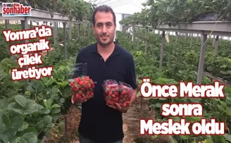 Önce merak sonra meslek oldu