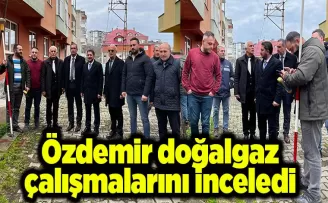 Özdemir doğalgaz çalışmalarını inceledi