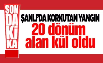 Şanlı Mahallesi'nde yangın