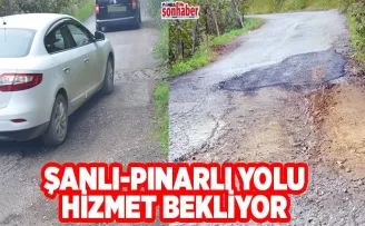 ŞANLI-PINARLI YOLU HİZMET BEKLİYOR