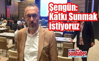 Şengün: Katkı Sunmak İstiyoruz