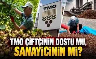 TMO Çiftçinin Dostu Mu, Sanayicinin Mi?
