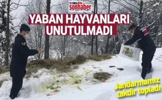 Yaban hayvanları unutulmadı