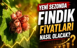  Yeni Sezonda Fındık Fiyatları Nasıl Olacak?