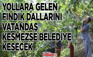 YOLLARA GELEN FINDIK DALLARINI VATANDAŞ KESMEZSE BELEDİYE KESECEK 