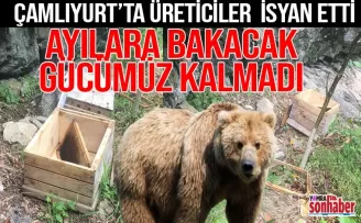 Yomra Çamlıyurt Mahallesi’nde ayılar yine işbaşında.