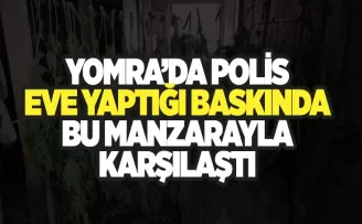 Yomra'da  eve yapılan baskında bu manzarayla karşılaşıldı!
