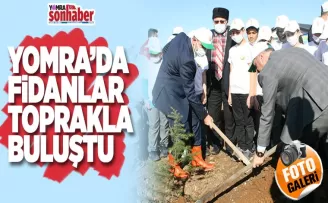 Yomra’da fidanlar toprakla buluştu