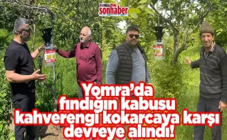 Yomra’da fındığın kabusu kahverengi kokarcaya karşı devreye alındı!