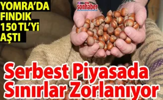 Yomra’da Fındık Fırtınası!  Serbest Piyasada Sınırlar Zorlanıyor