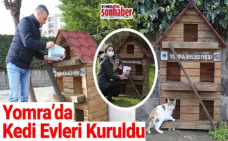 Yomra’da kedi evleri kuruldu