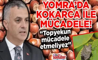 Yomra’da kokarca ile mücadele!
