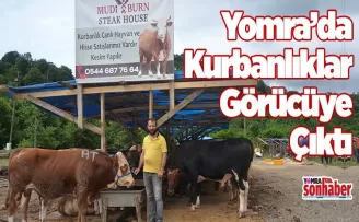 Yomra’da kurbanlıklar Görücüye çıktı