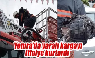 Yomra’da yaralı kargayı itfaiye kurtardı