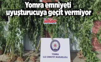 Yomra emniyeti göz açtırmıyor