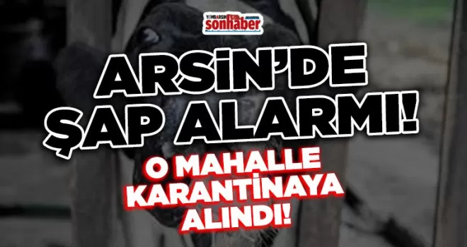 ARSİN’DE ŞAP ALARMI!