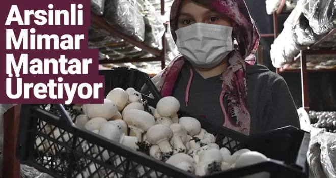 Arsinli Mimar Üretiyor