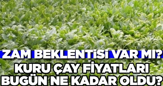 Çay Fiyatları Bugün Kaç TL Oldu?