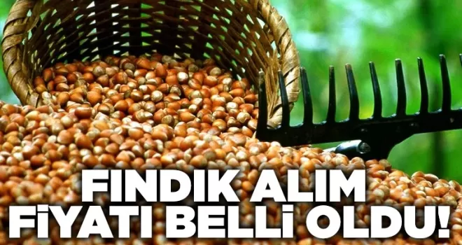 Fındık alım fiyatı belli oldu!